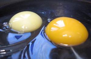CAFO vs. Pastured Egg